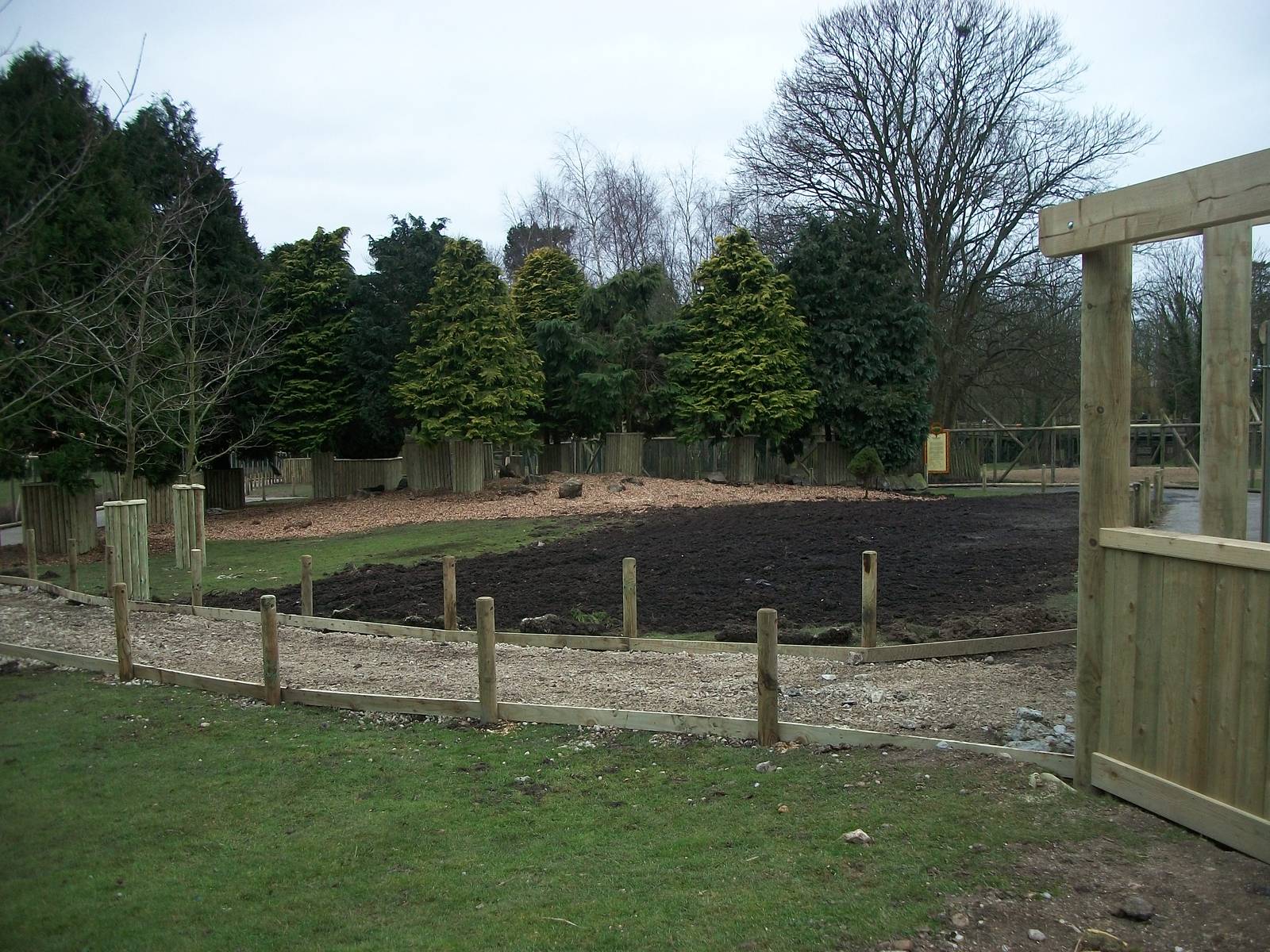 Wallaby Walk-through under construction 22nd February 2013