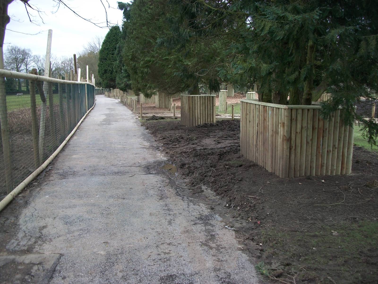 Wallaby Walk-through under construction 22nd February 2013