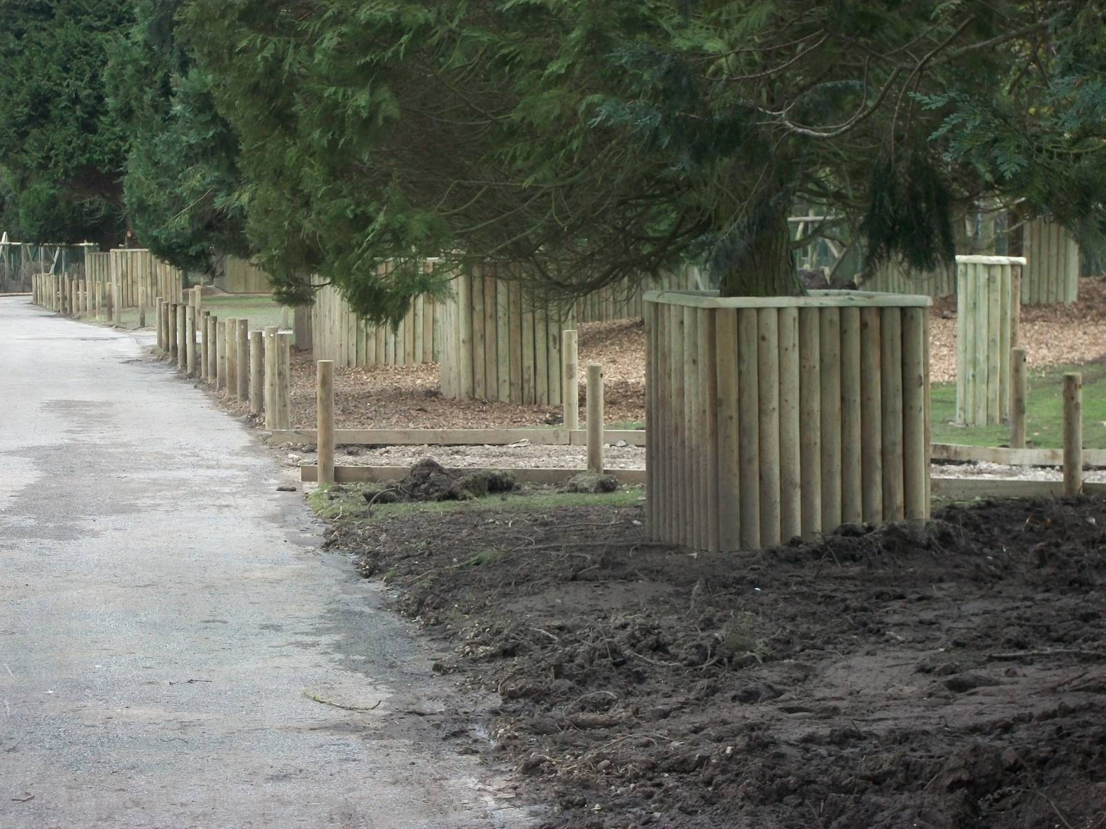 Wallaby Walk-through under construction 22nd February 2013