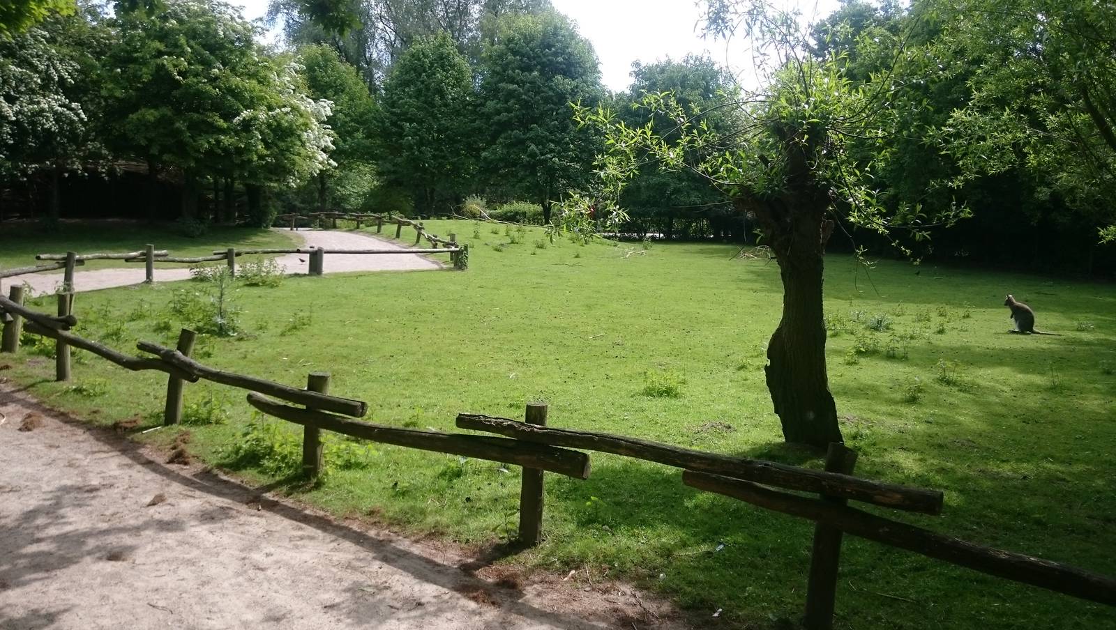 Wallaby walk-through