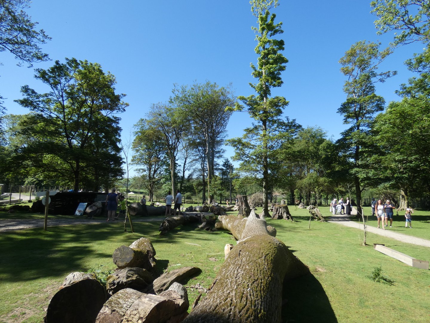Wallaby walk-through
