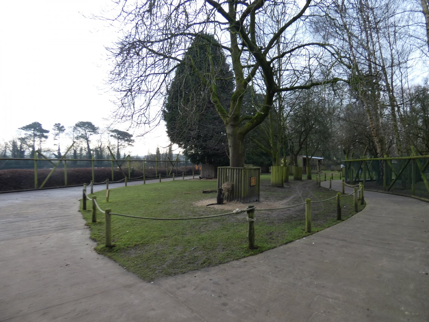 Wallaby walk-through