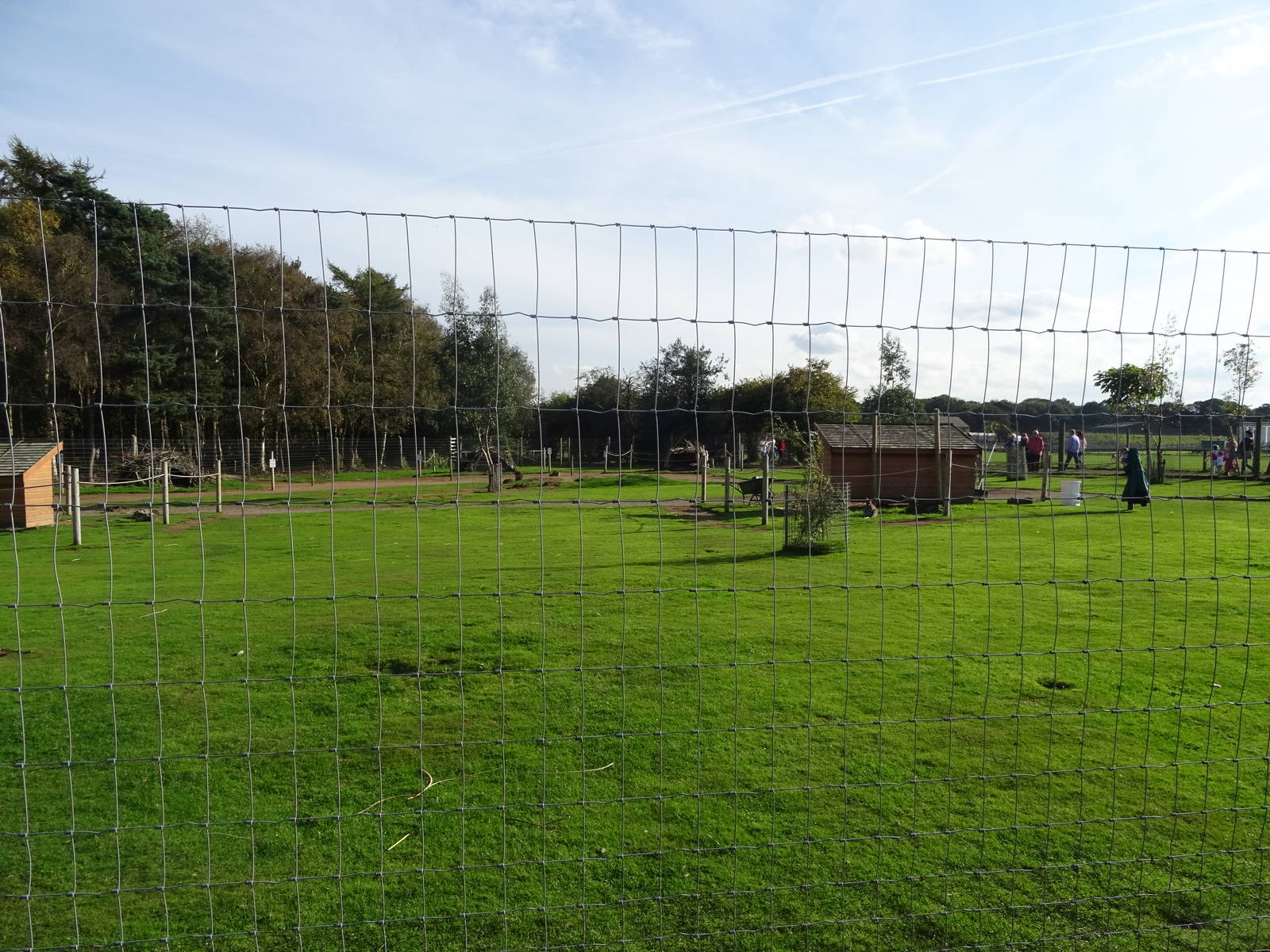 Wallaby Walkabout at Yorkshire Wildlife Park