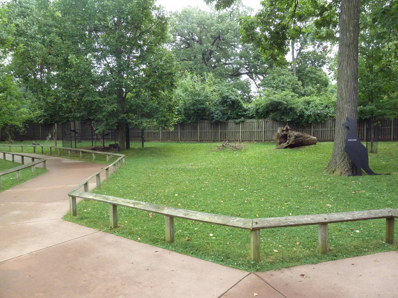 Wallaby WalkAbout - Tammar Wallaby/Wallaroo Exhibit