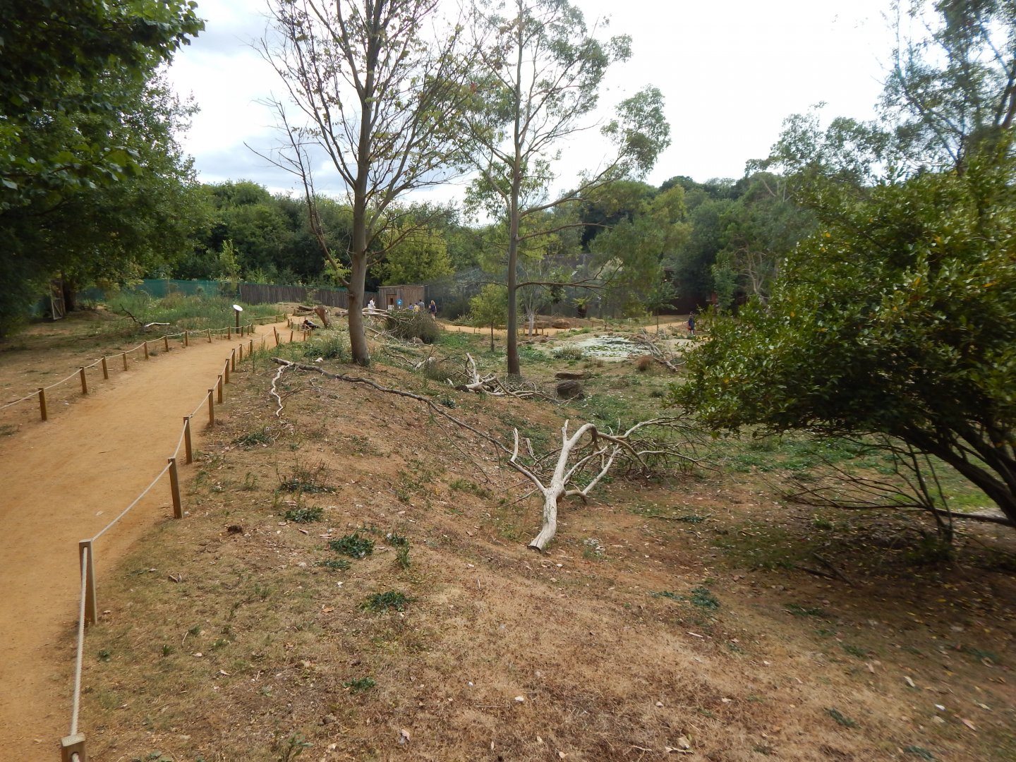 Wallaby Walkthrough 040822