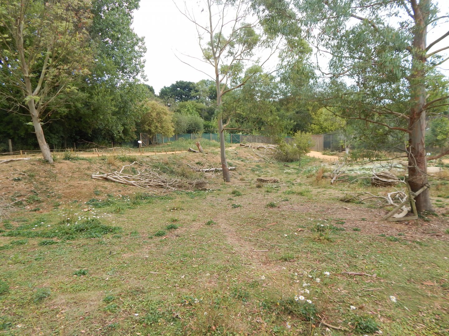 Wallaby Walkthrough 040822