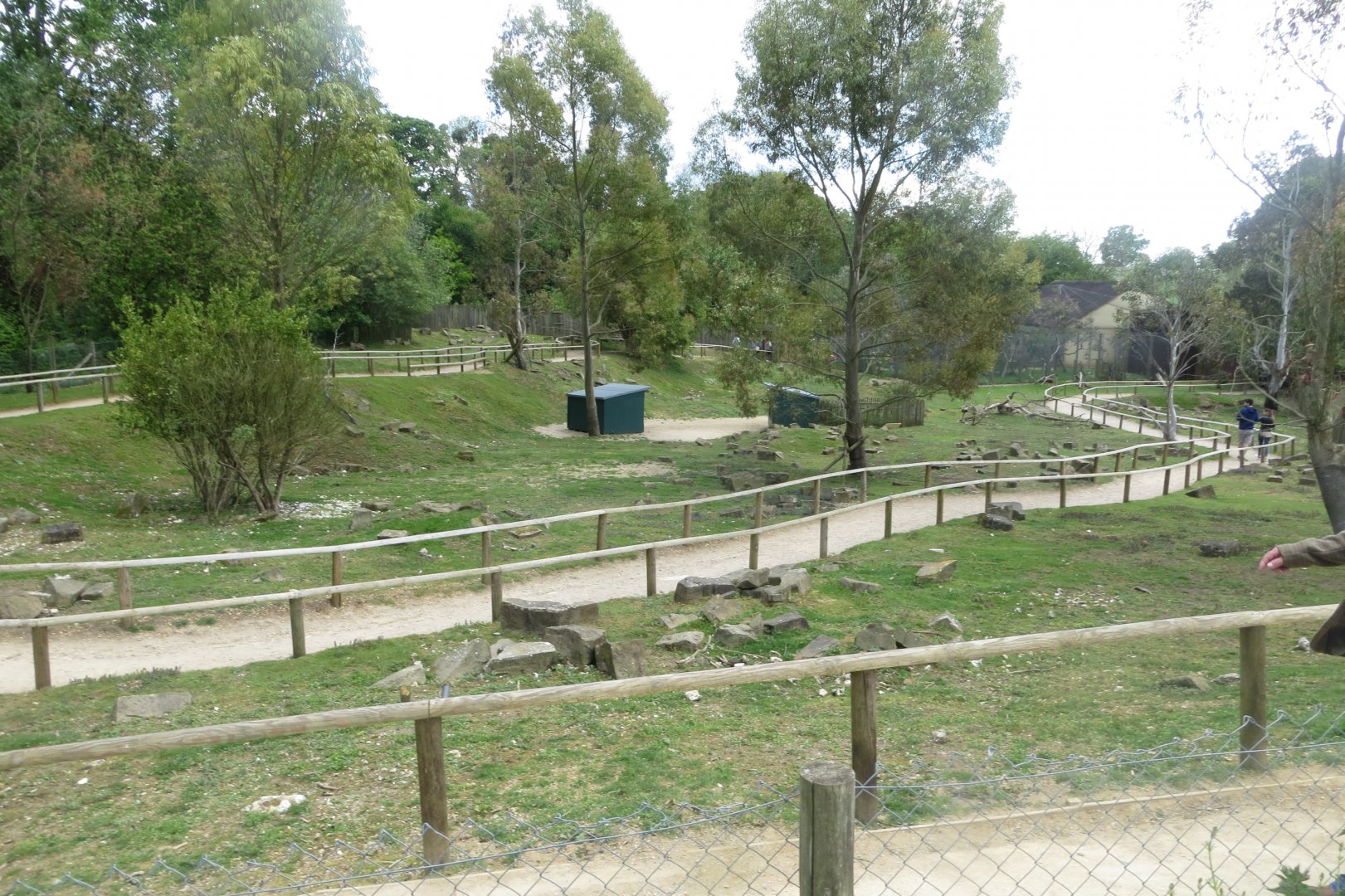 Wallaby walkthrough 110519