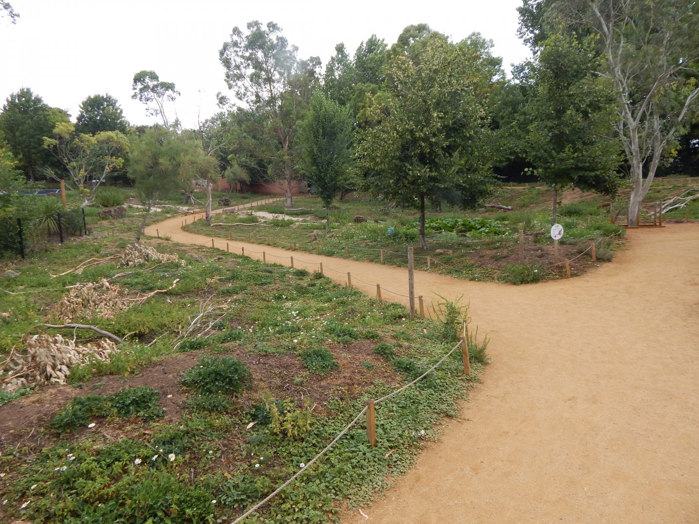 Wallaby Walkthrough 150725