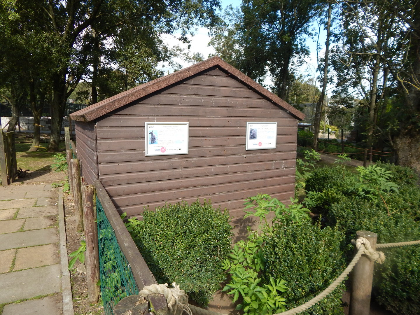 Wallaby Walkthrough 200922