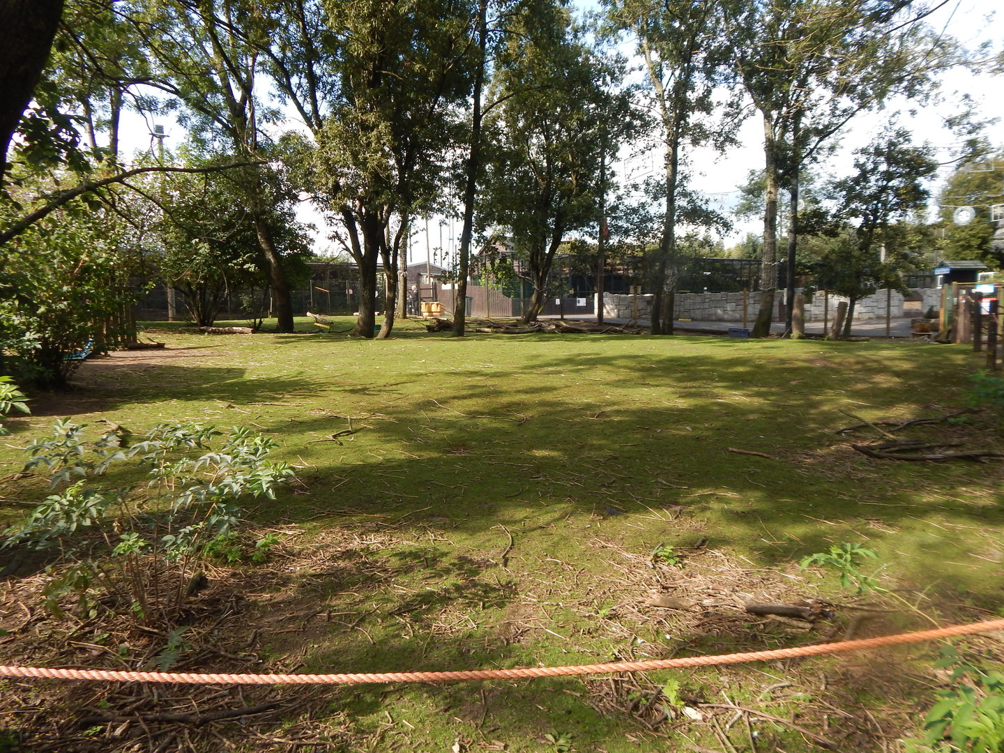 Wallaby Walkthrough 200922