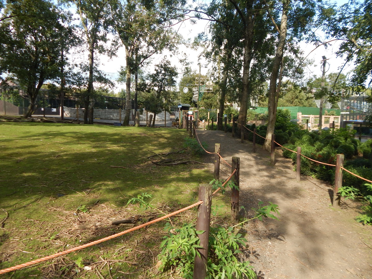 Wallaby Walkthrough 200922