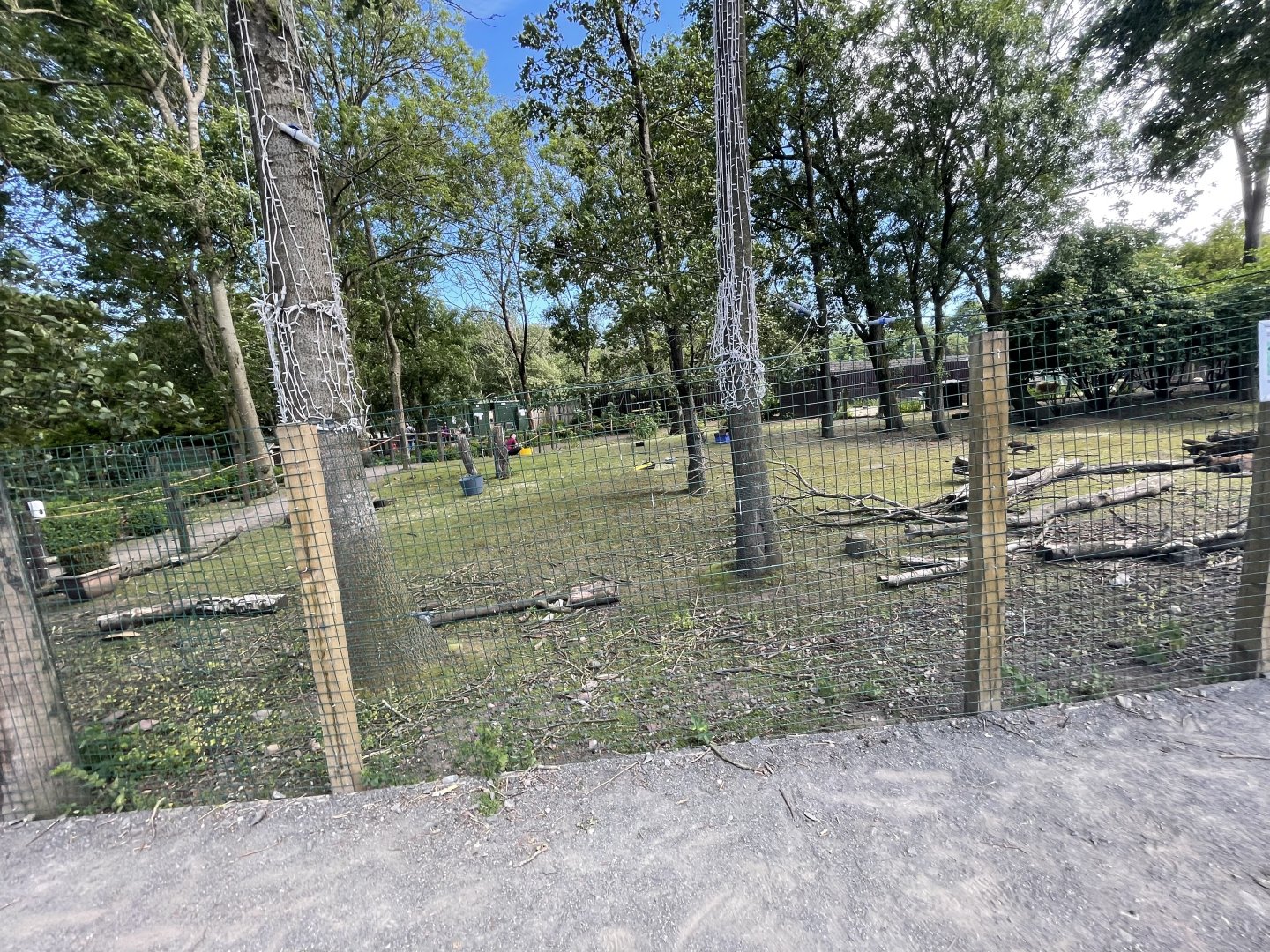 Wallaby walkthrough (3)