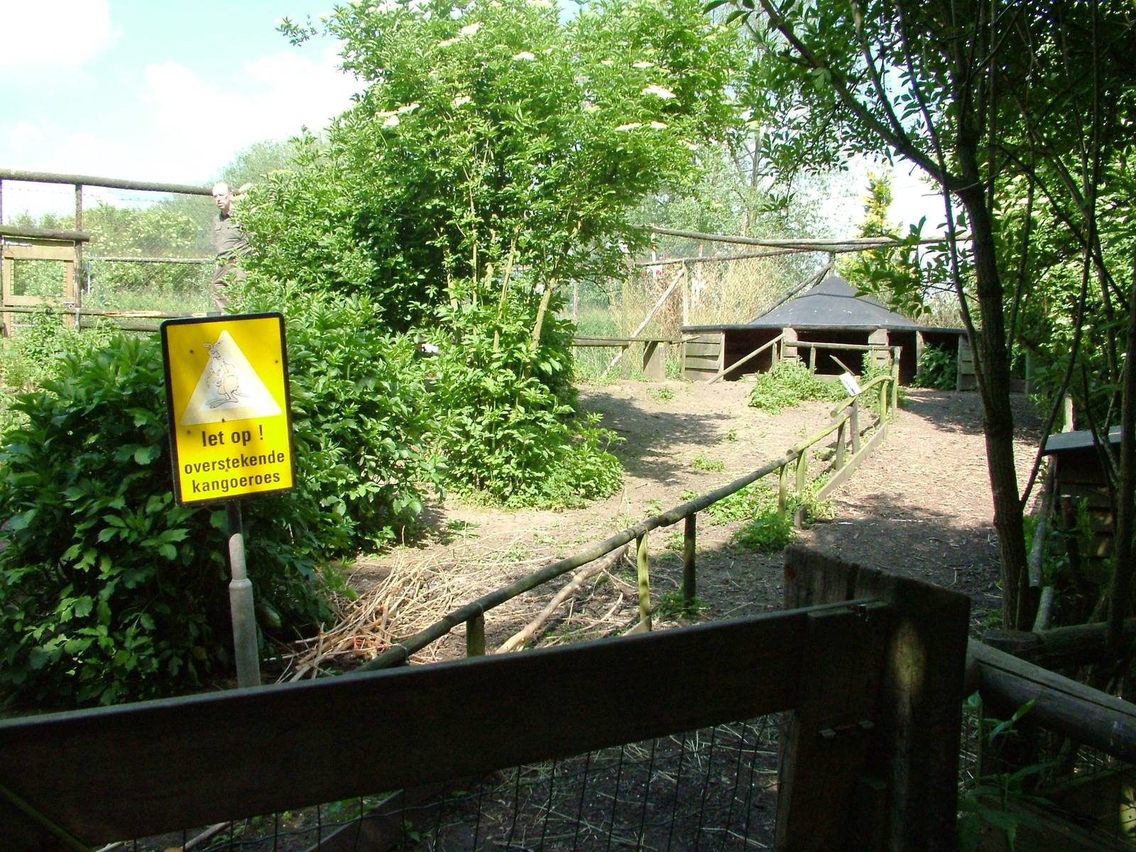 Wallaby Walkthrough at De Paay, 02/06/12