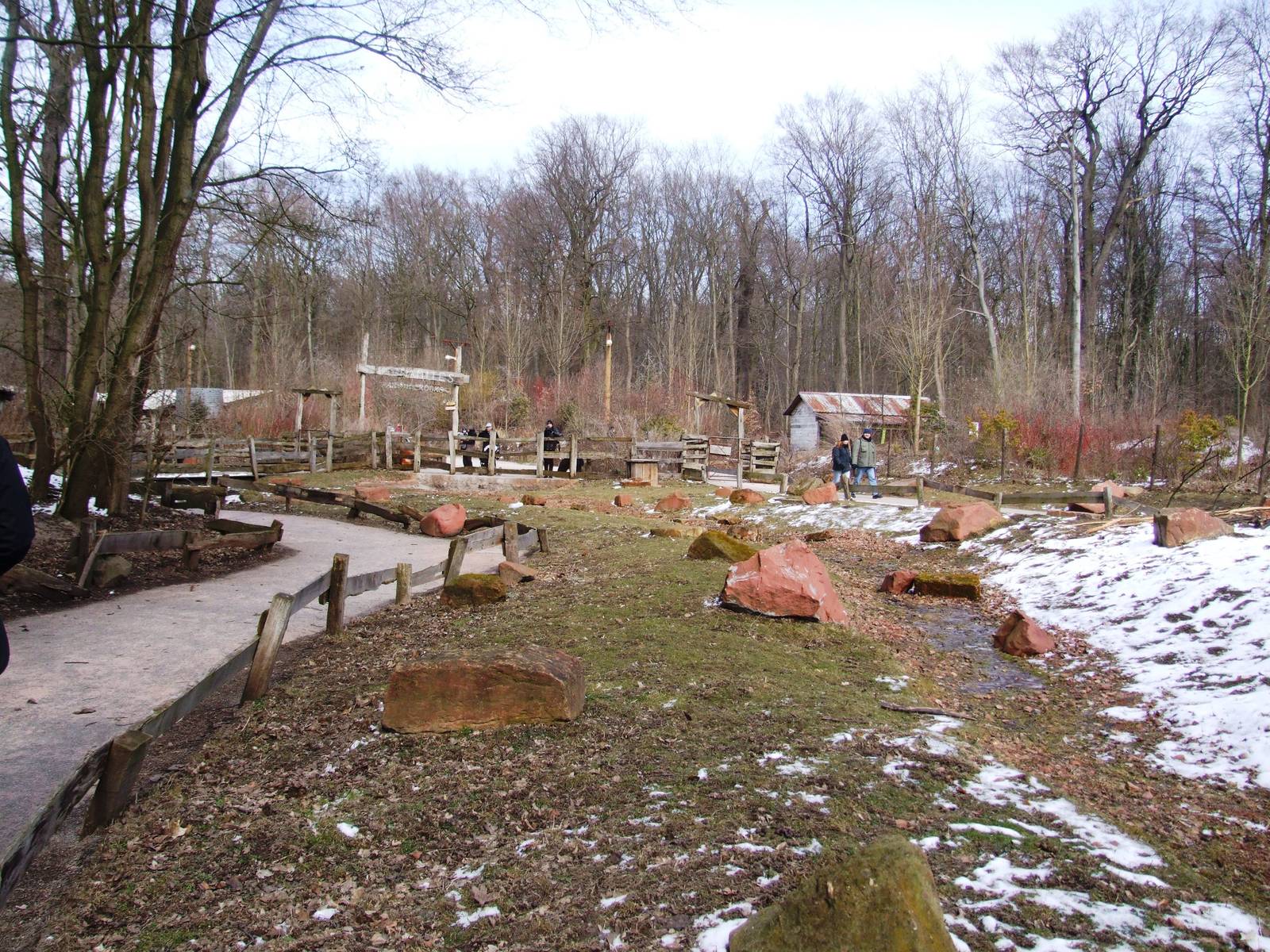 Wallaby Walkthrough at Hannover, 23/03/13