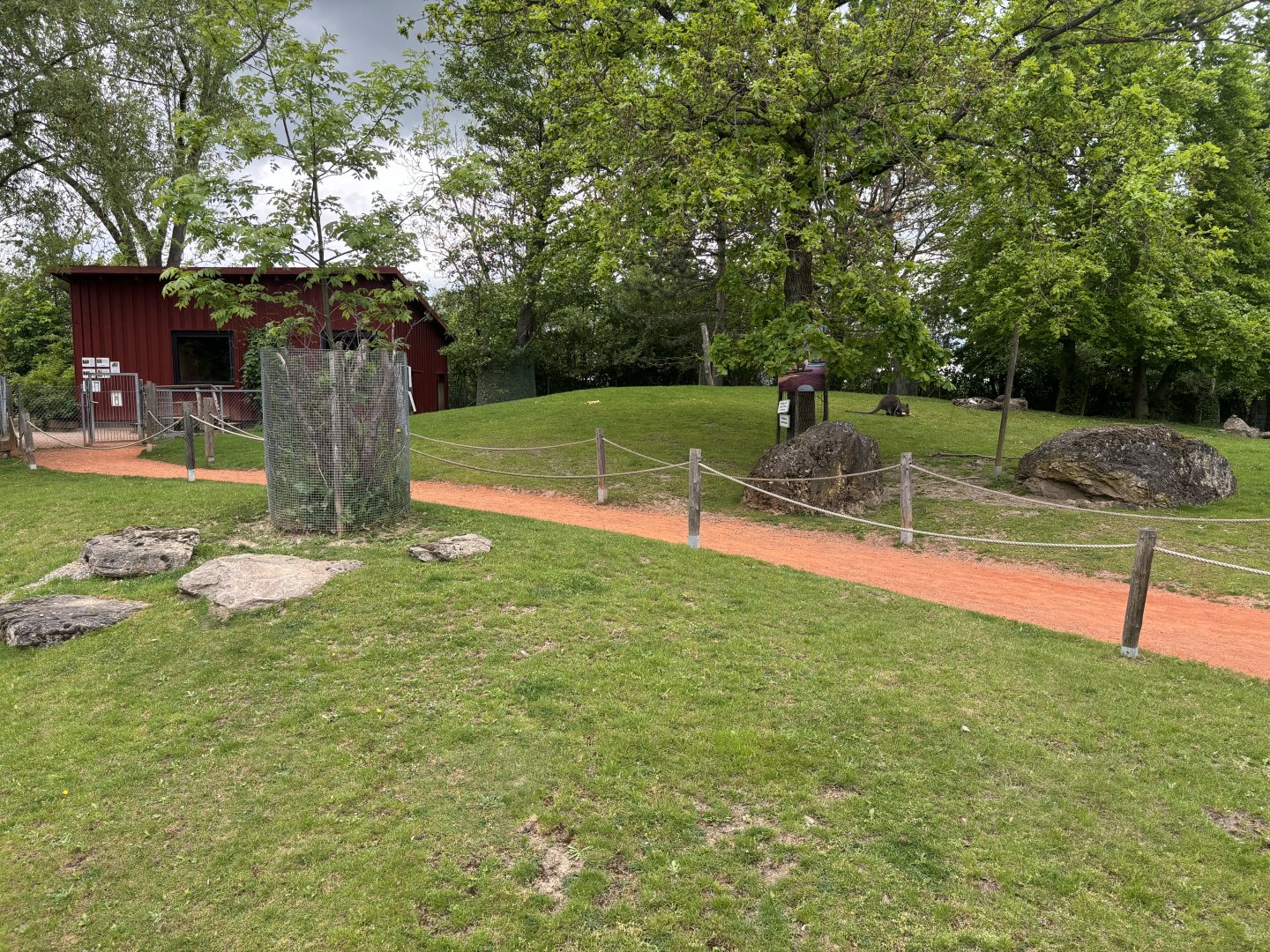 Wallaby Walkthrough at Zoologischer Garten Hof