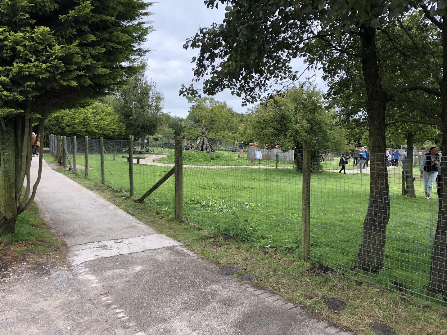 Wallaby Walkthrough Enclosure at Peak Wildlife Park (August 2023)