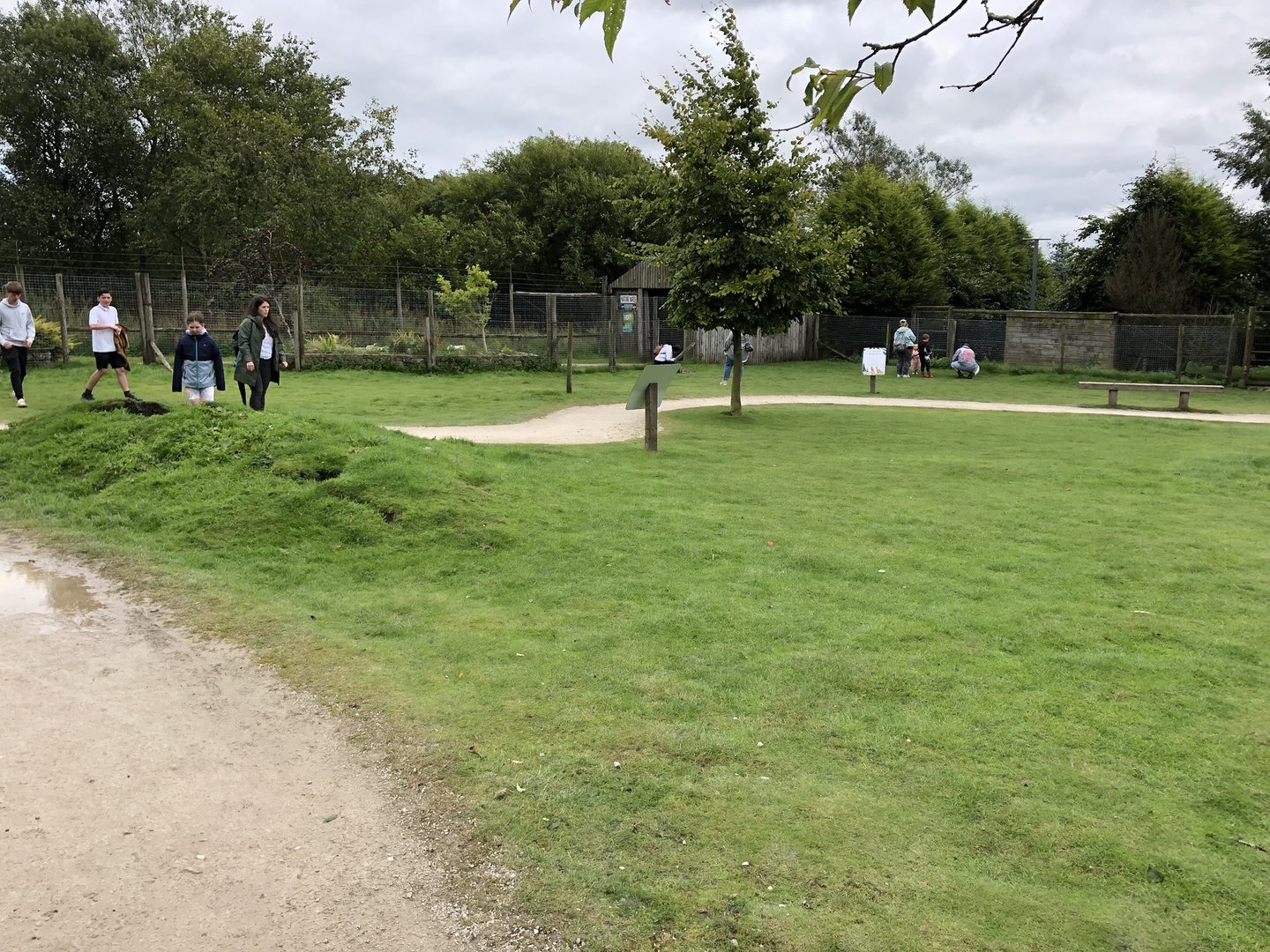 Wallaby Walkthrough Enclosure at Peak Wildlife Park (August 2023)