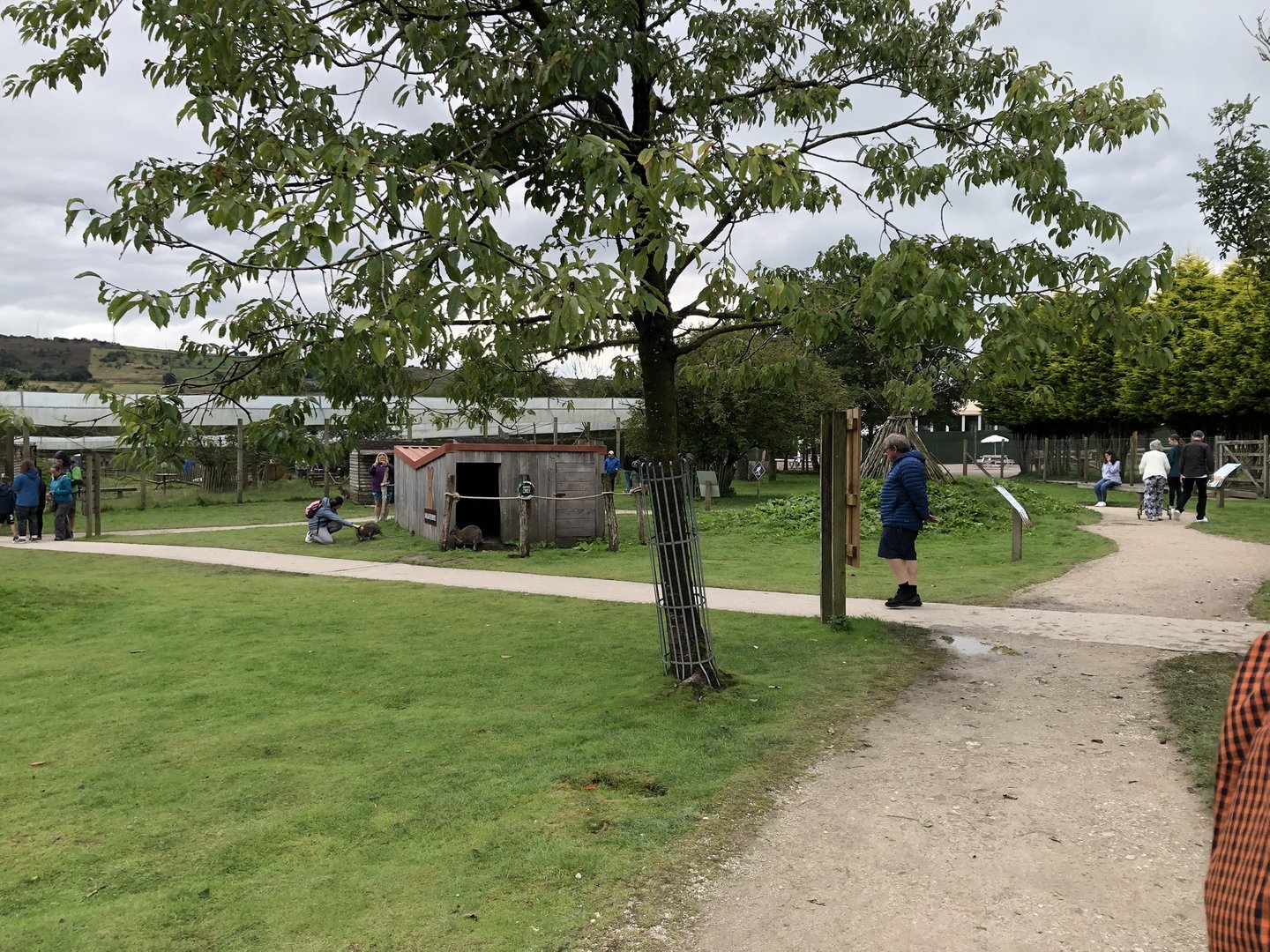 Wallaby Walkthrough Enclosure at Peak Wildlife Park (August 2023)