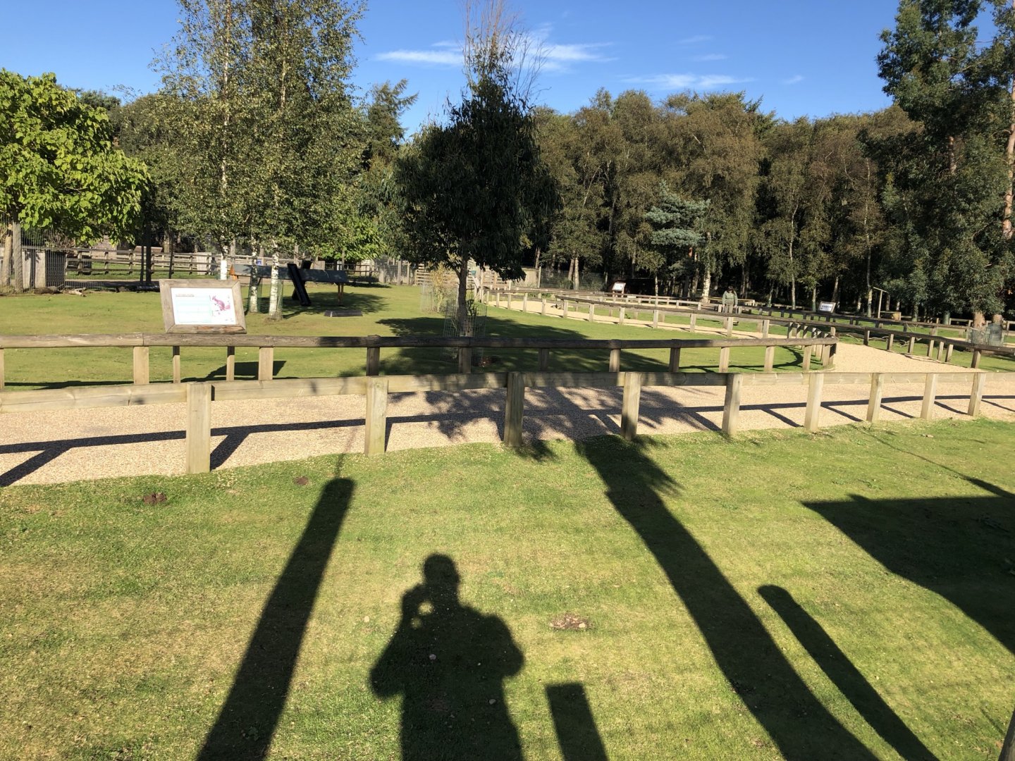 Wallaby Walkthrough Enclosure at Yorkshire Wildlife Park (October 2021)