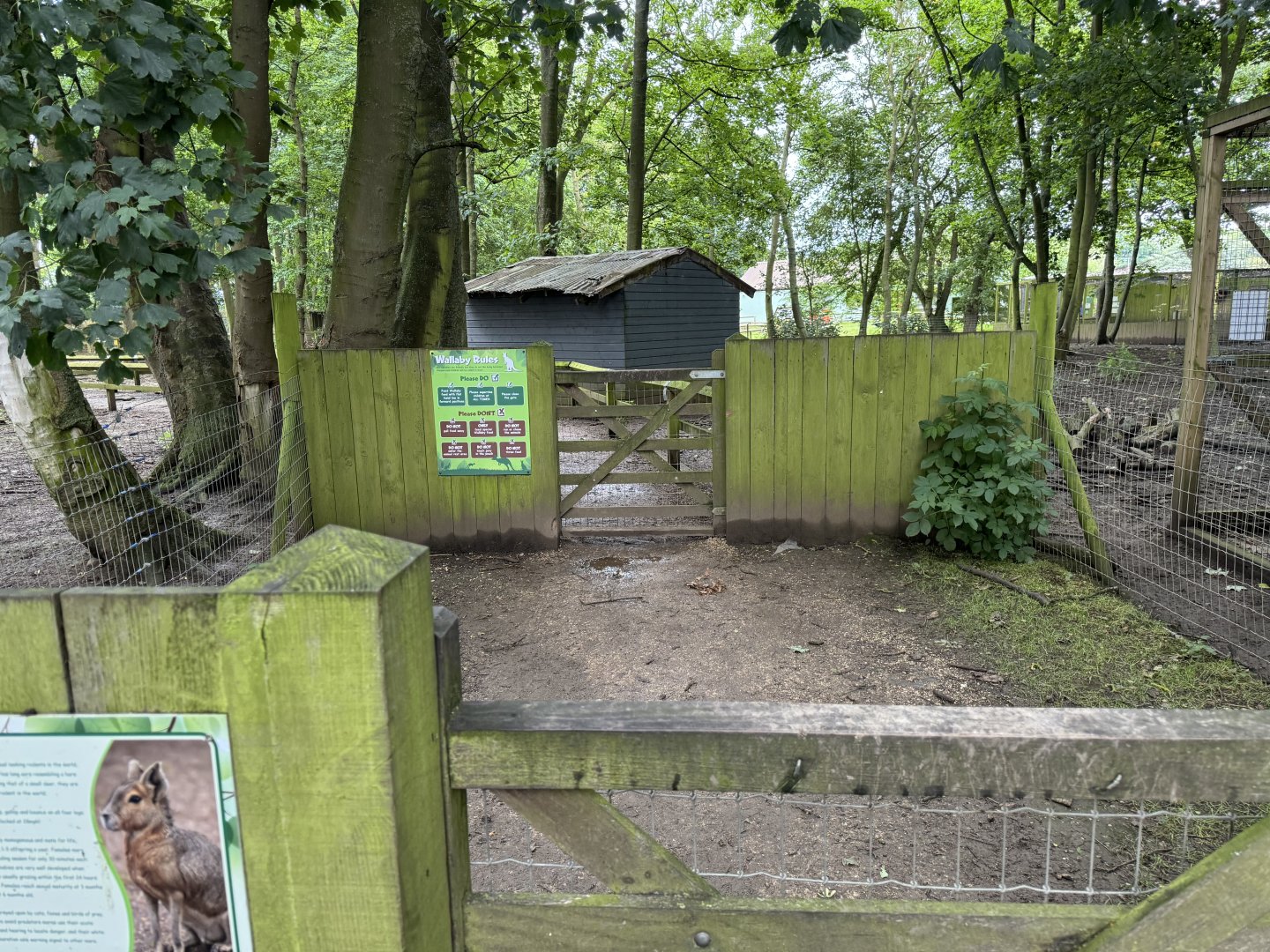 Wallaby Walkthrough Entrance at Bridlington Animal Park (July 2024)