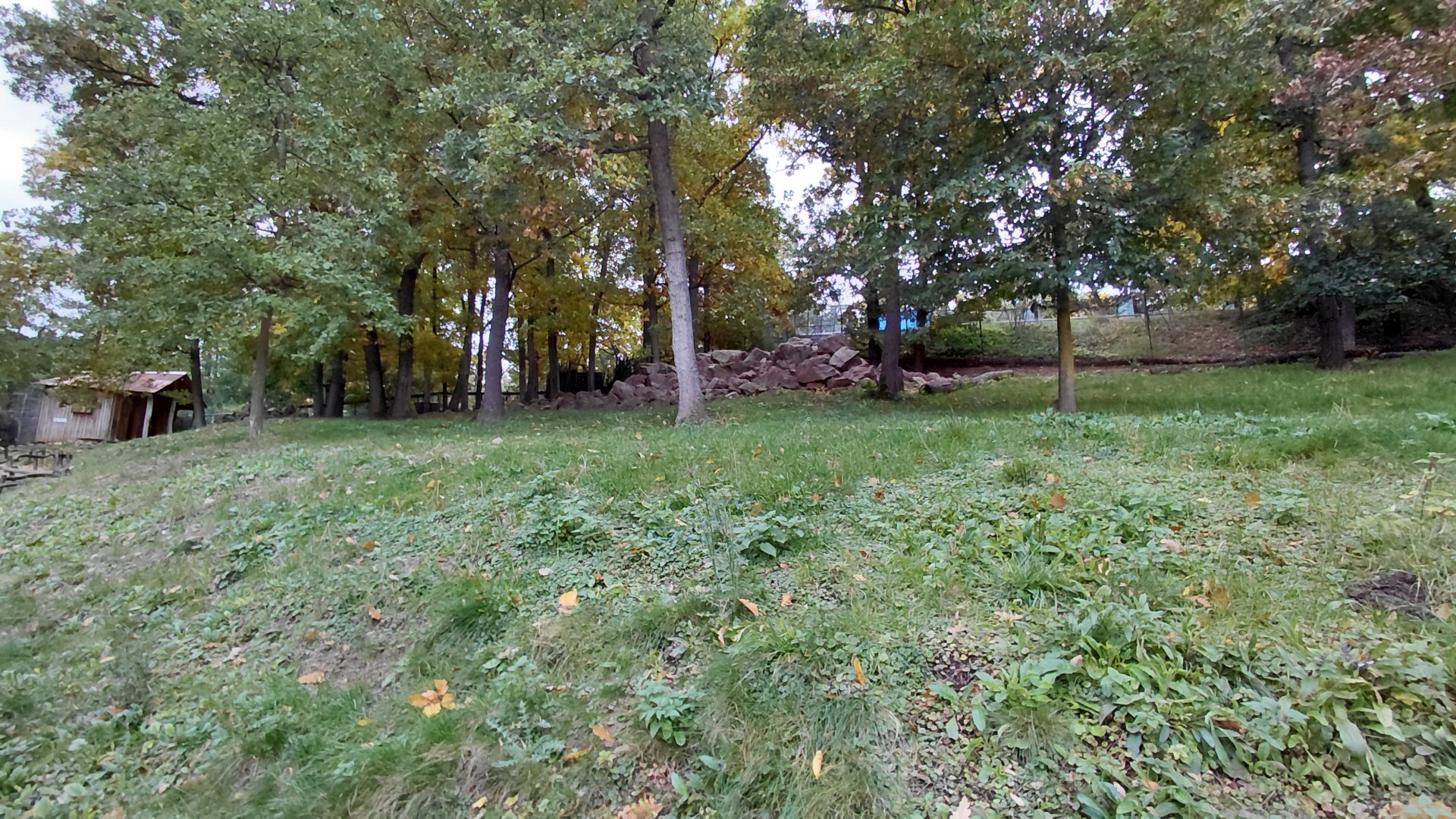 Wallaby (walkthrough) exhibit