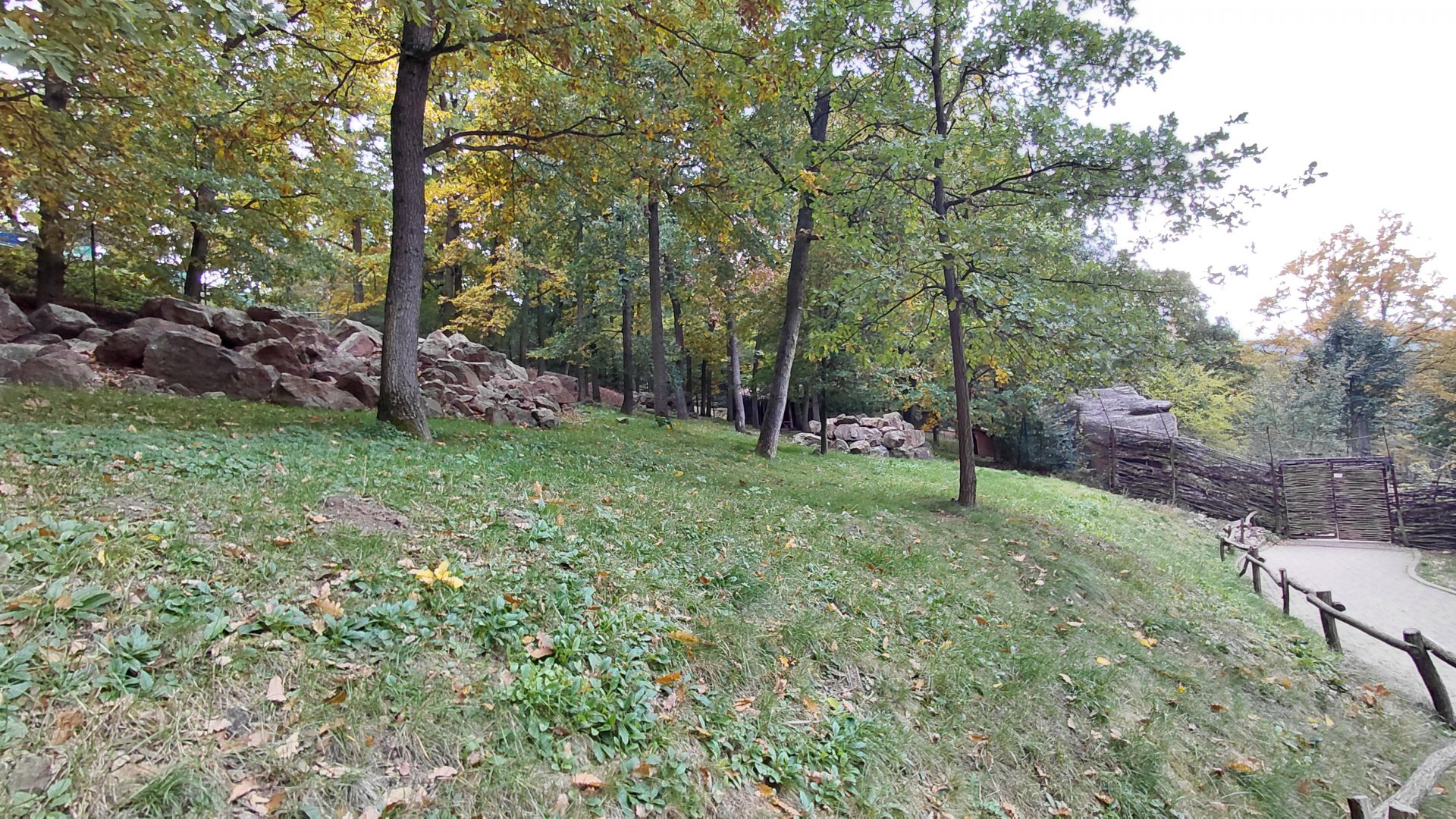Wallaby (walkthrough) exhibit