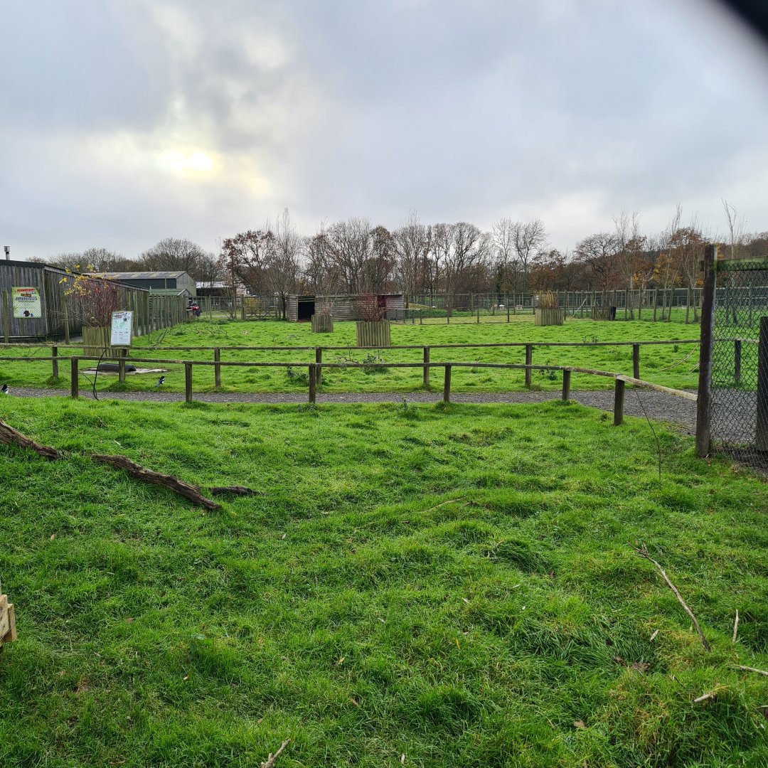 Wallaby walkthrough, Knockhatch