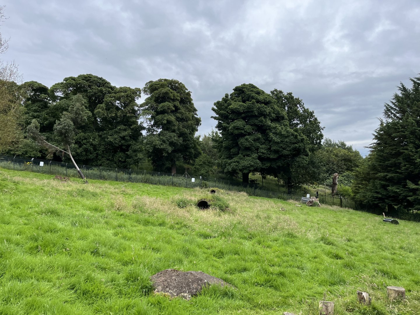 Wallaby walkthrough looking green 22.7.24