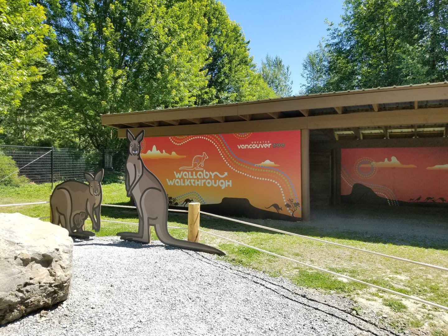 Wallaby Walkthrough photo op