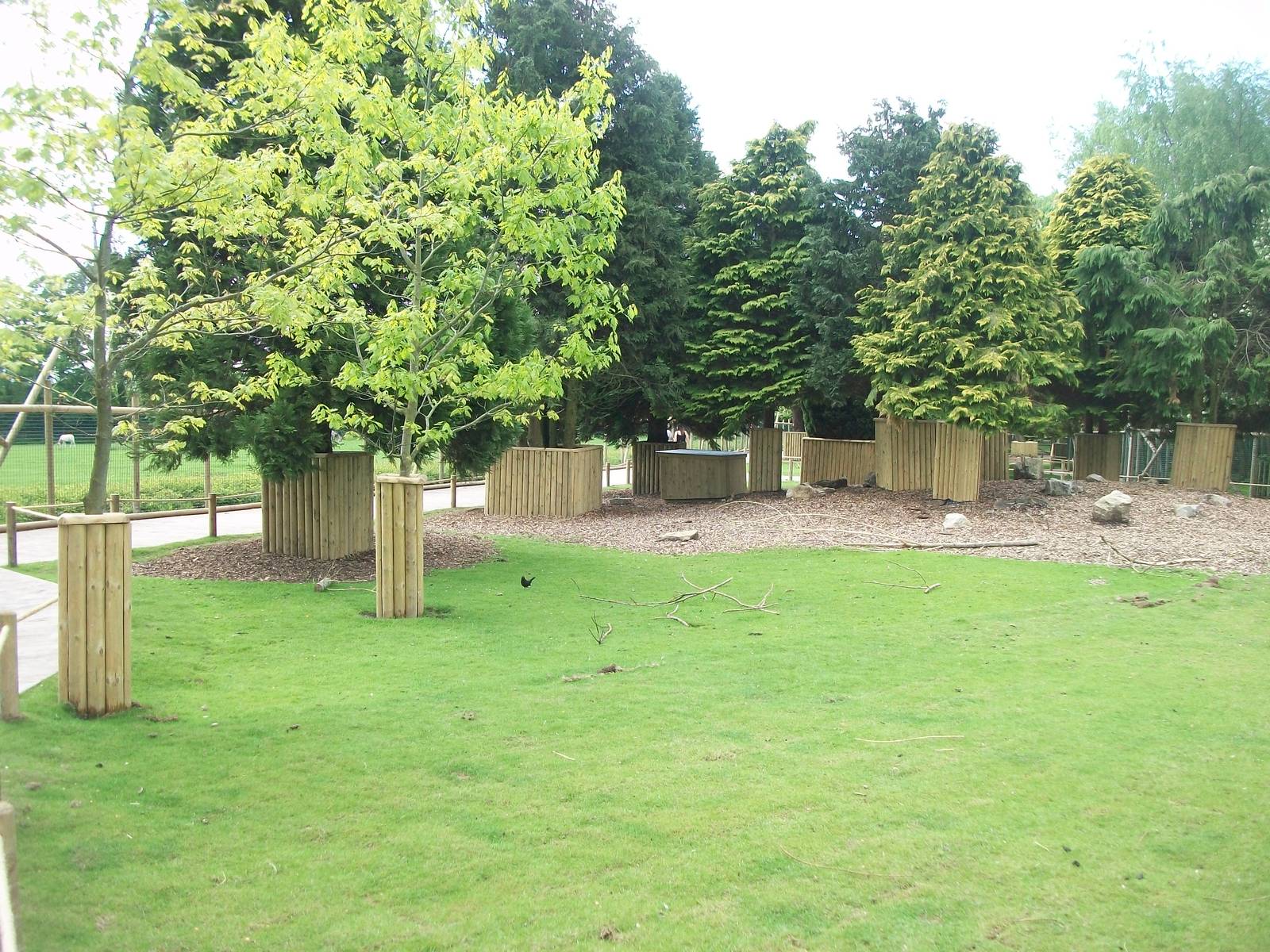 Wallaby Walkway 31st May 2013