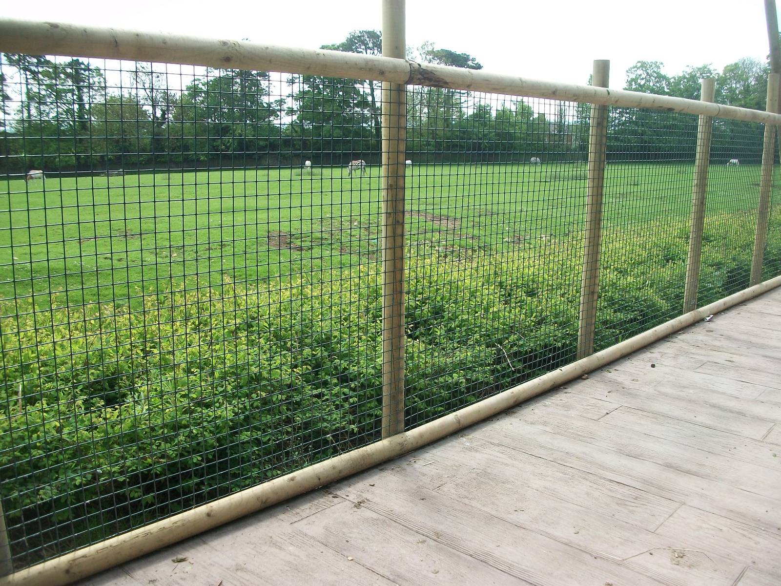 Wallaby Walkway 31st May 2013