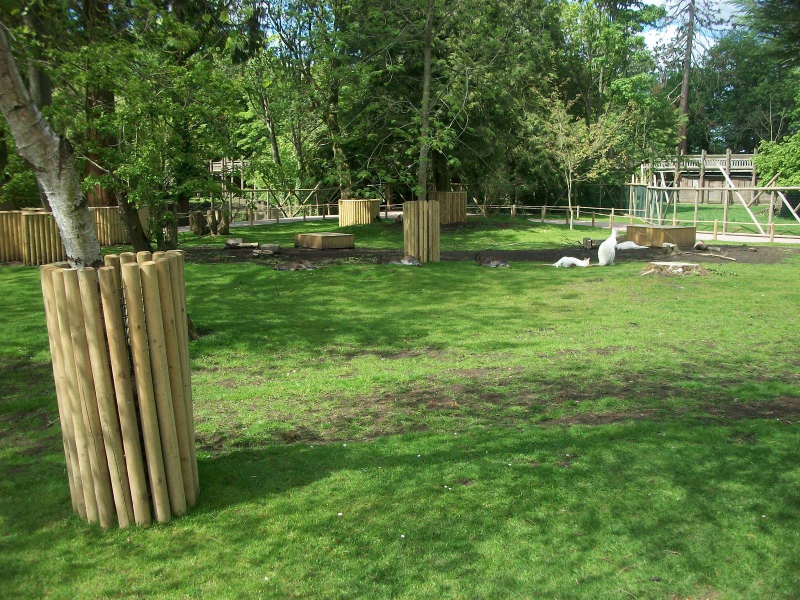 Wallaby Walkway 31st May 2013