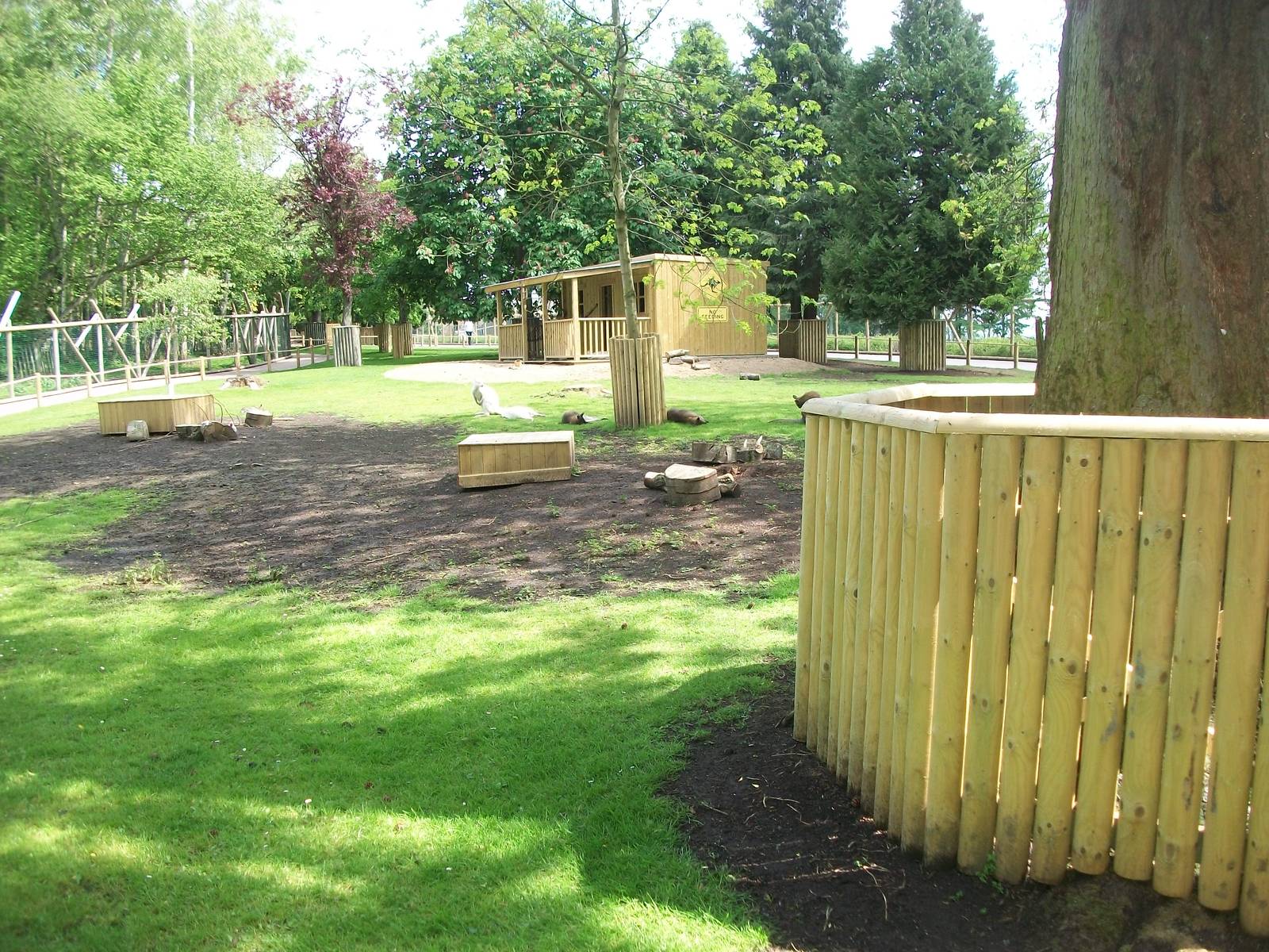 Wallaby Walkway 31st May 2013