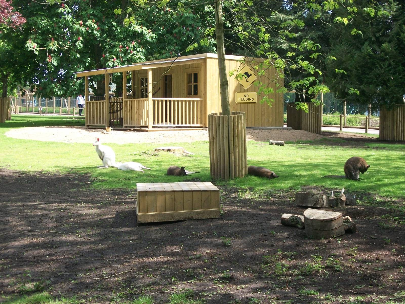 Wallaby Walkway 31st May 2013