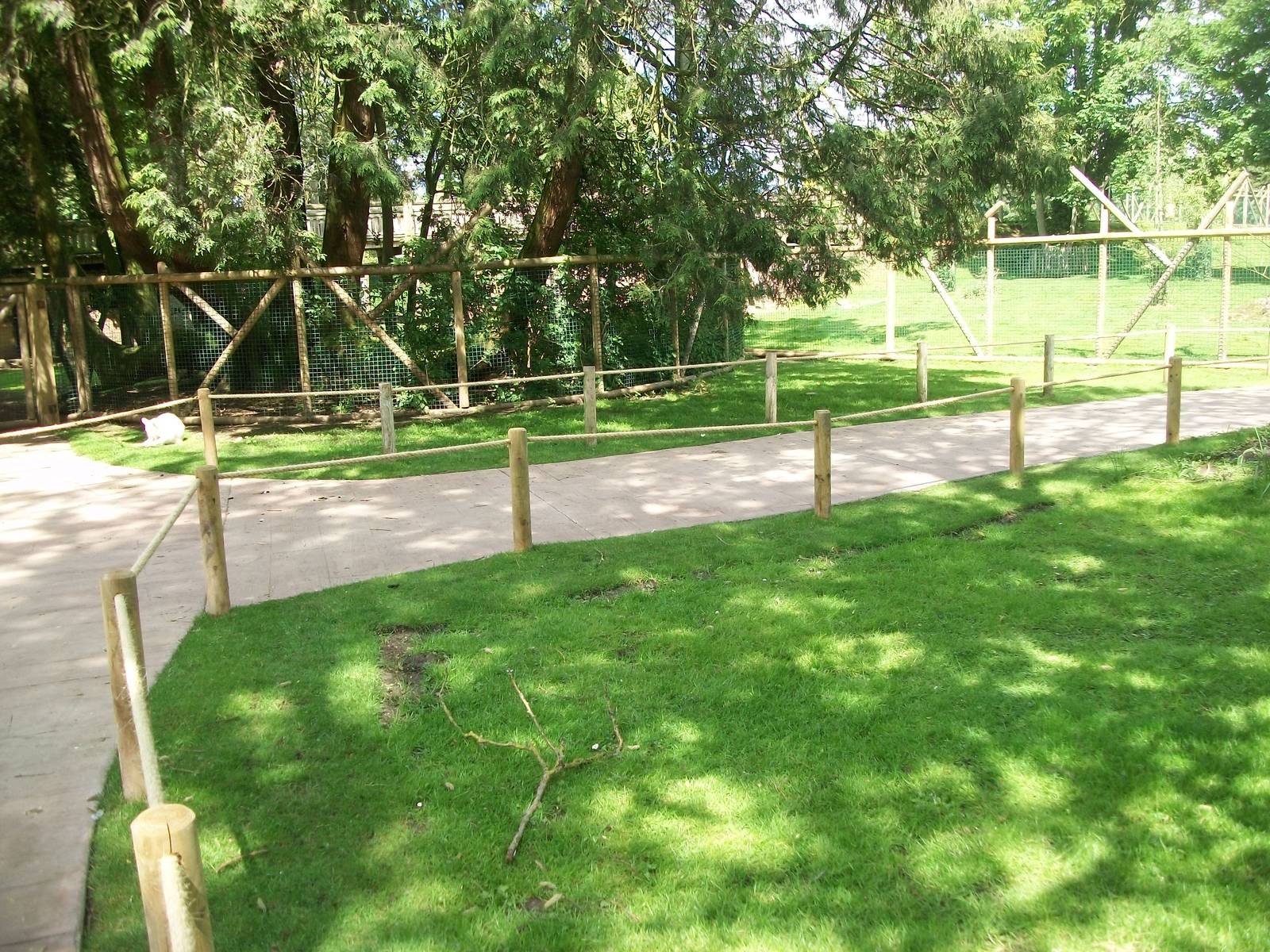 Wallaby Walkway 31st May 2013