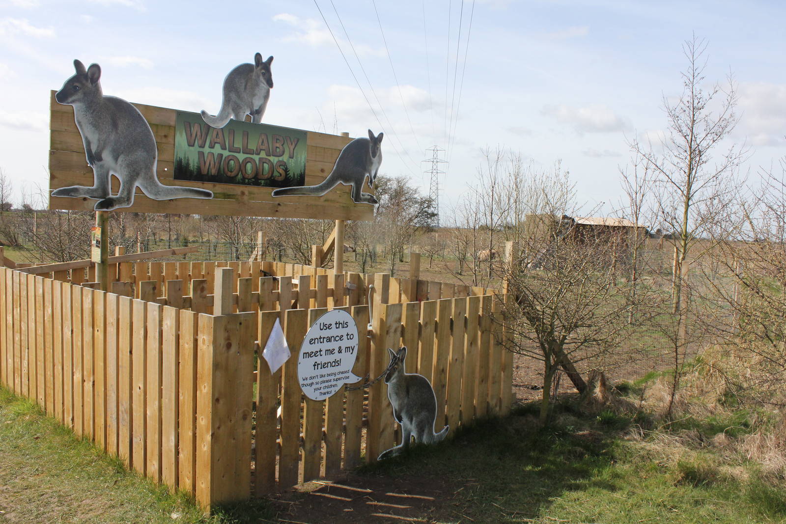 Wallaby woods entrance. 2-4-15
