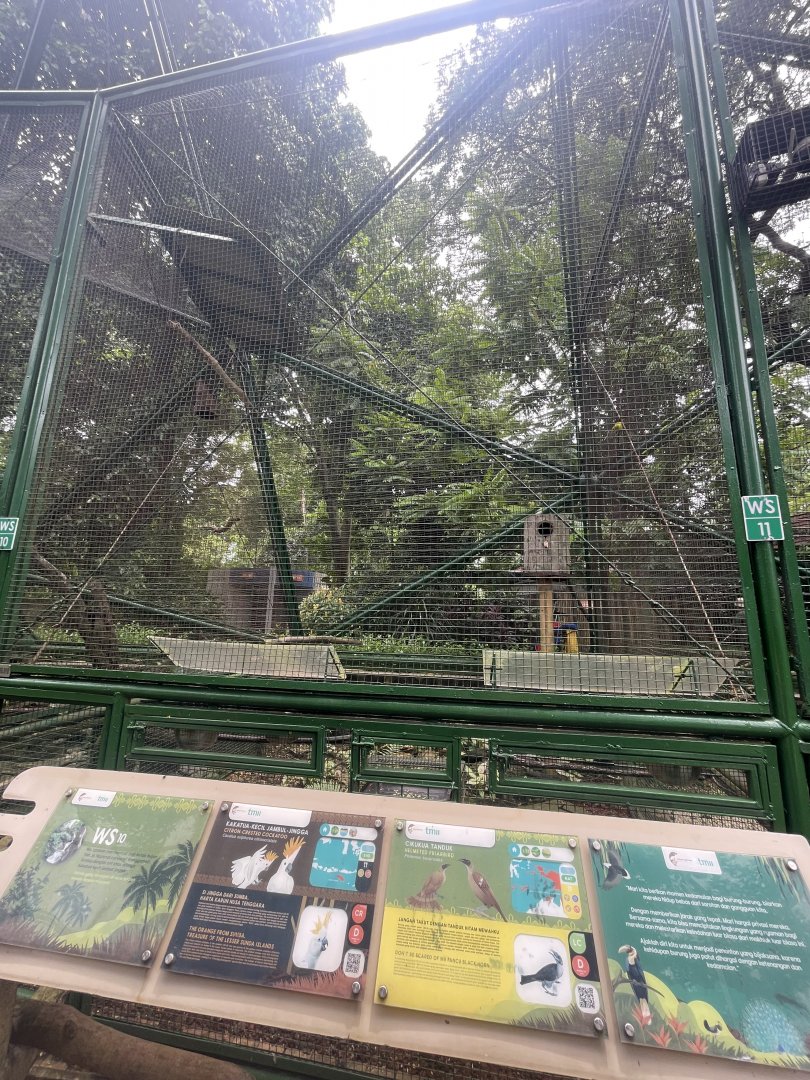 wallacea & sahul - aviary no. 10 - taman burung