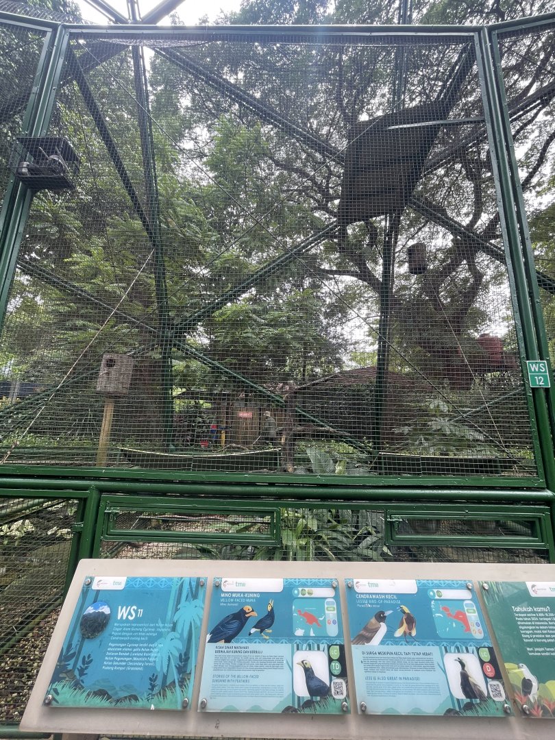 wallacea & sahul - aviary no. 11 - taman burung