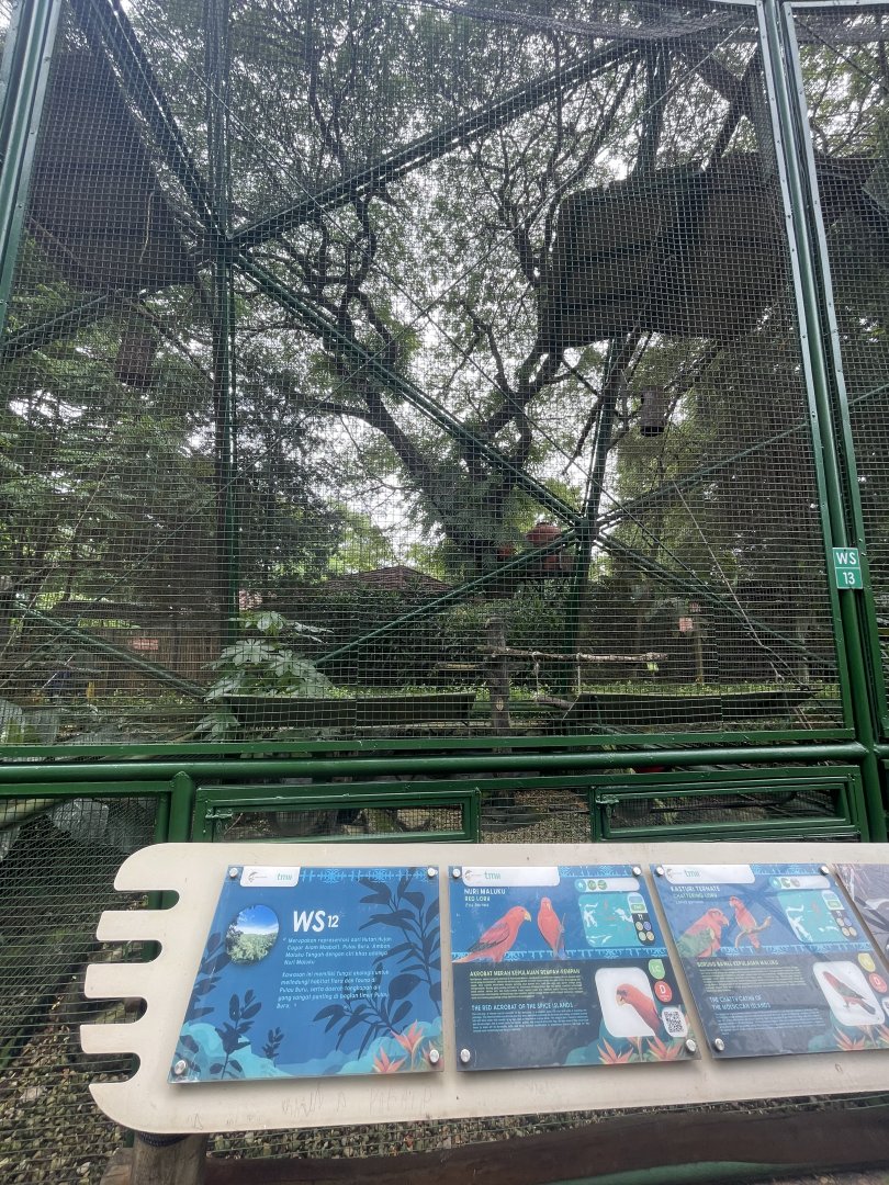 wallacea & sahul - aviary no. 12 - taman burung