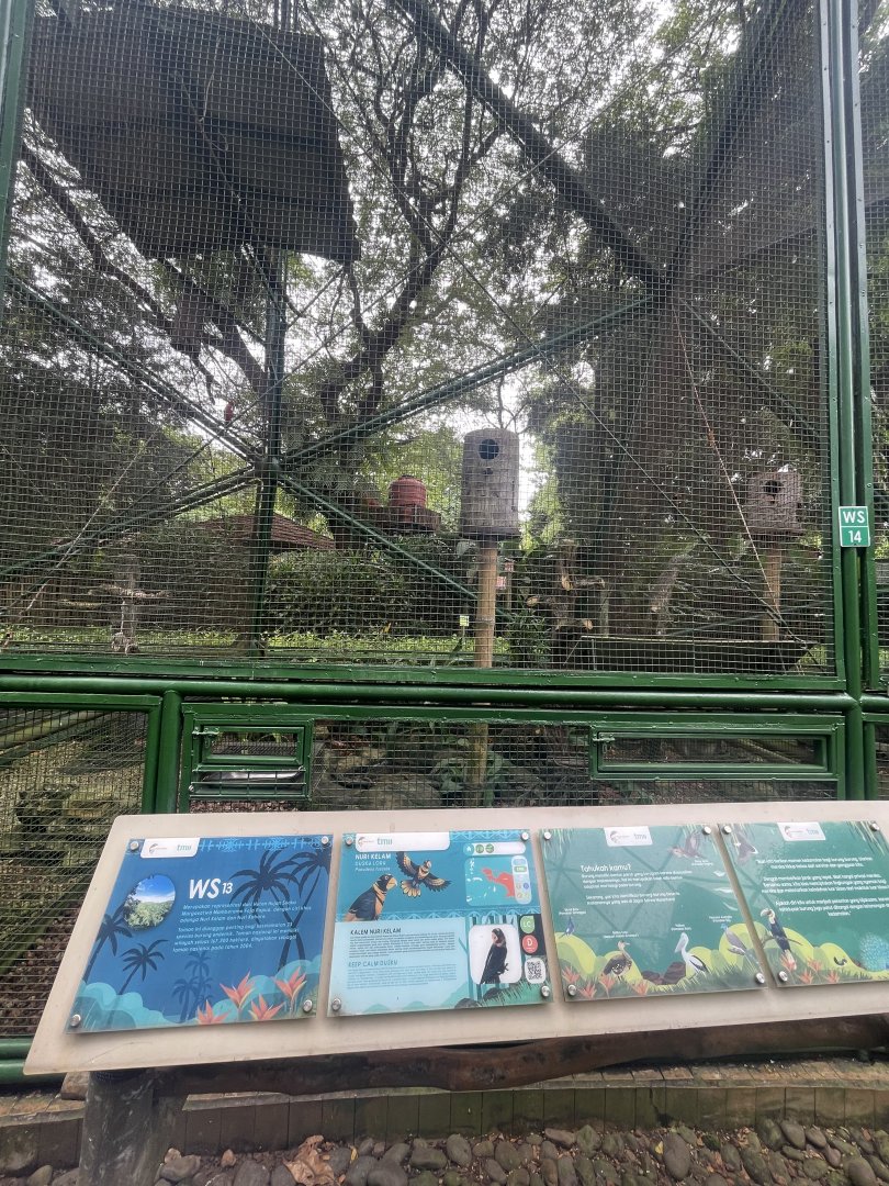 wallacea & sahul - aviary no. 13 - taman burung