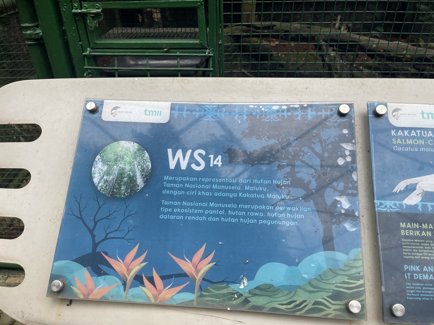 wallacea & sahul - aviary no. 14 signage - taman burung