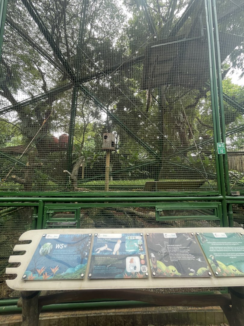 wallacea & sahul - aviary no. 14 - taman burung