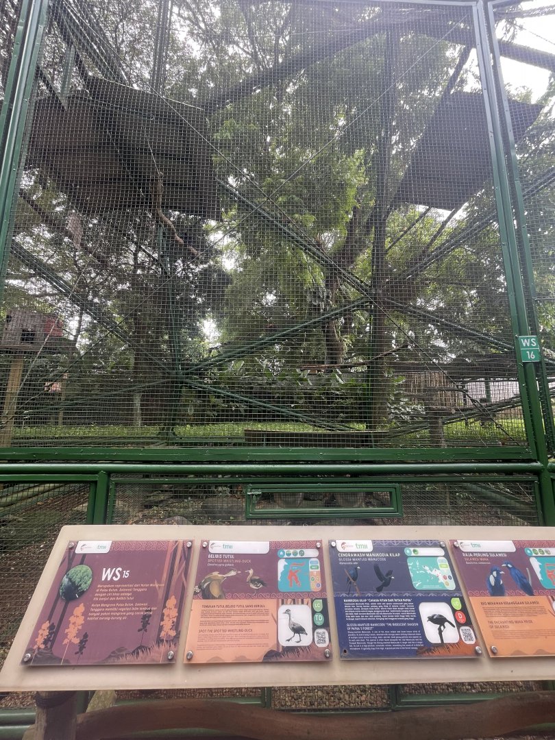 wallacea & sahul - aviary no. 15 - taman burung