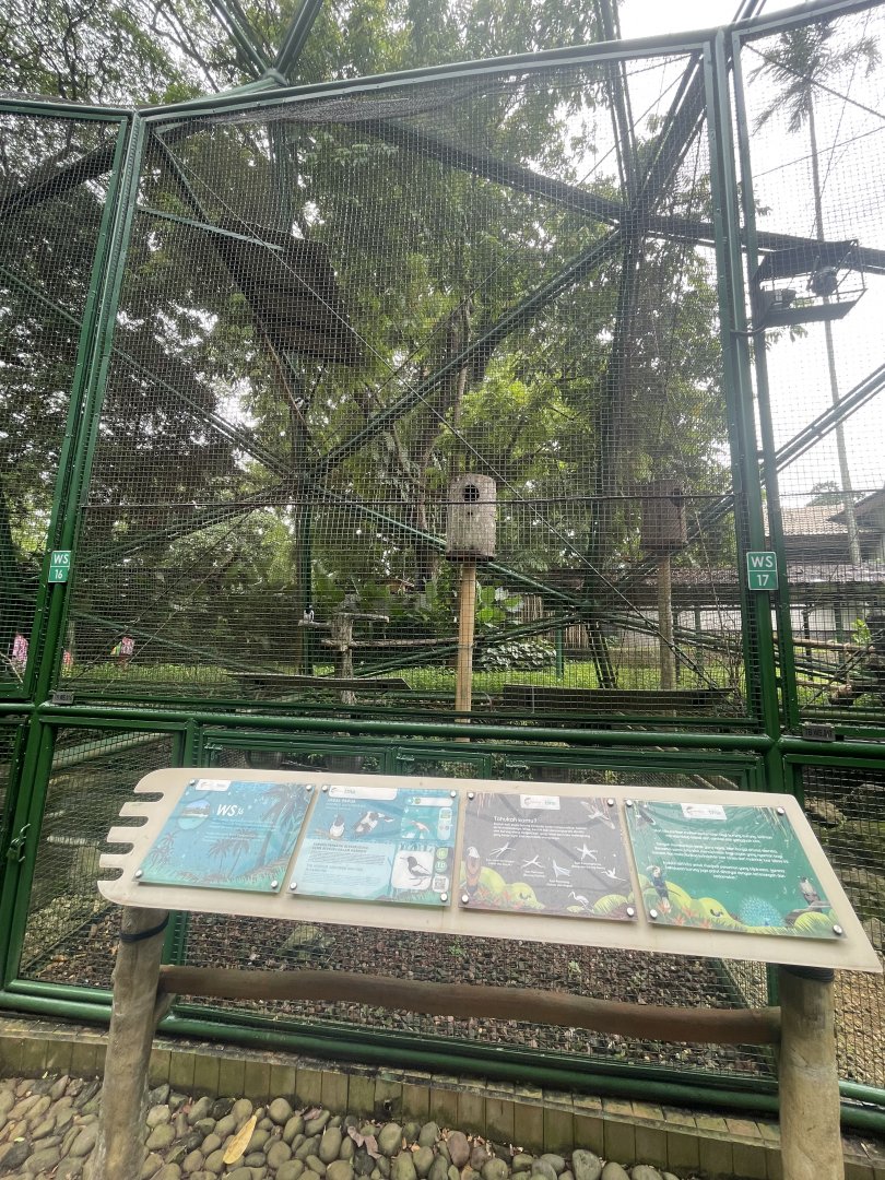 wallacea & sahul - aviary no. 16 - taman burung