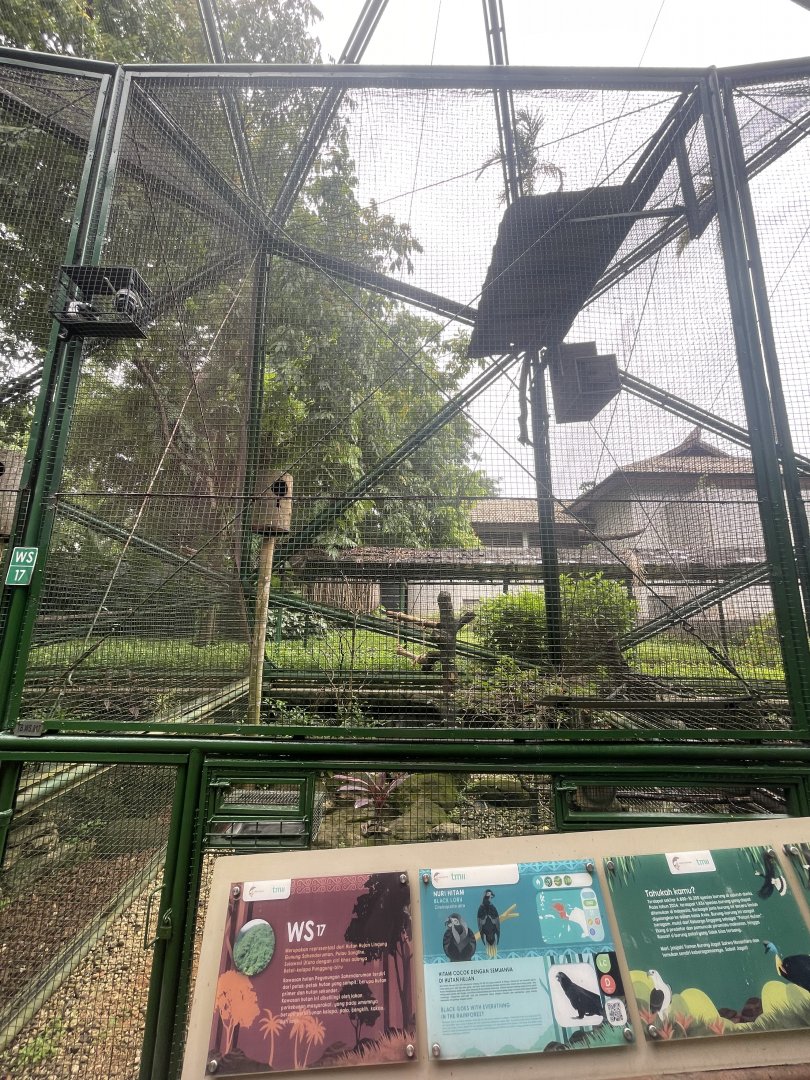 wallacea & sahul - aviary no. 17 - taman burung