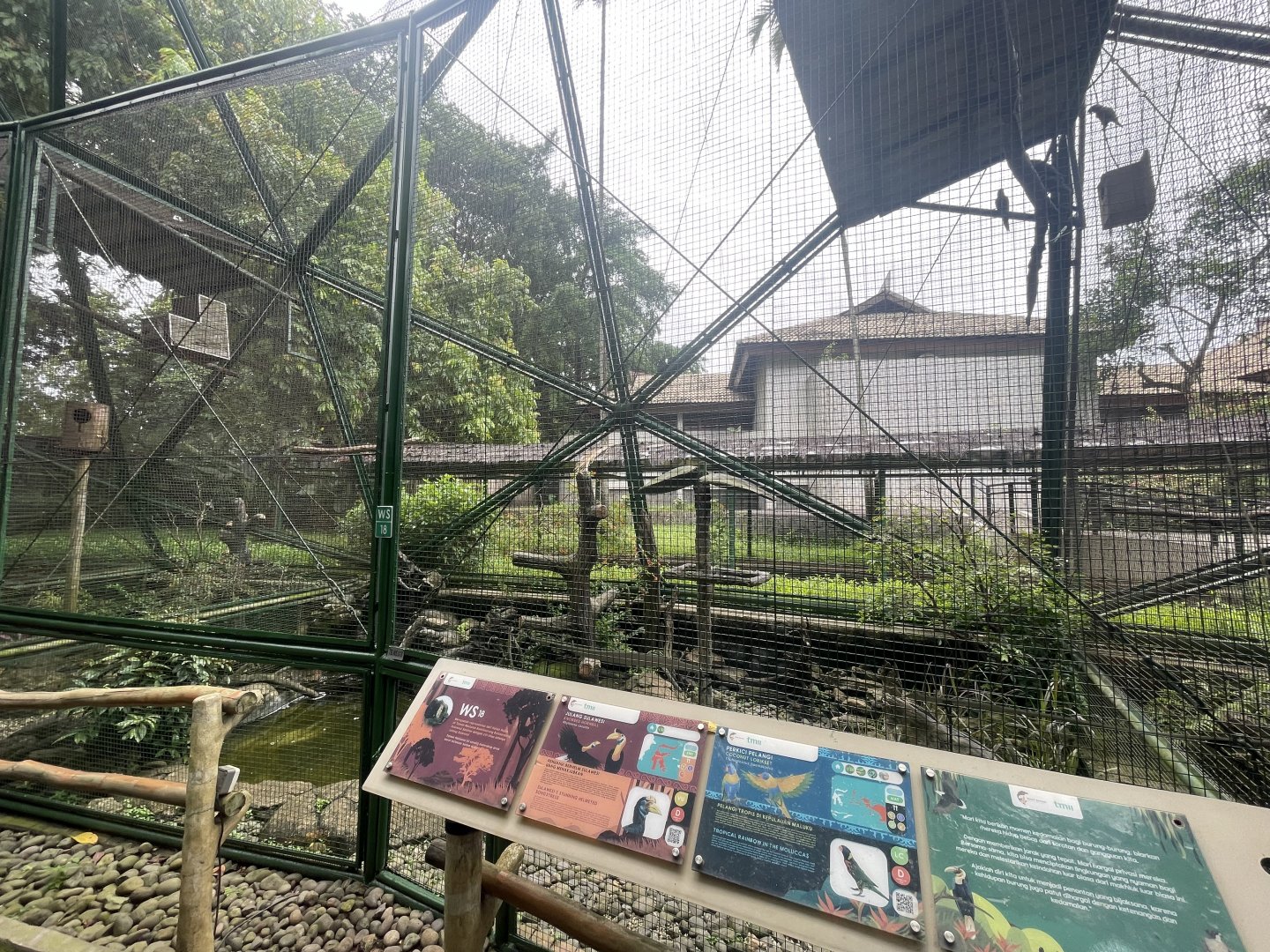 wallacea & sahul - aviary no. 18 - taman burung