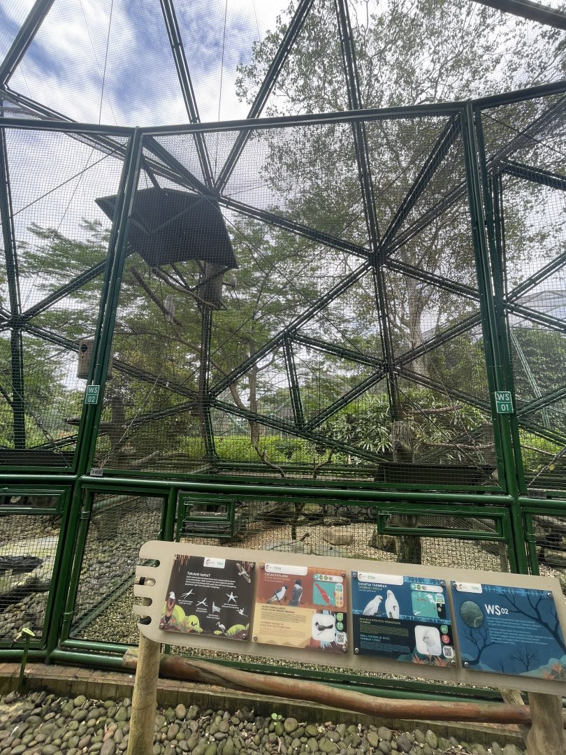 wallacea & sahul - aviary no. 2 - taman burung