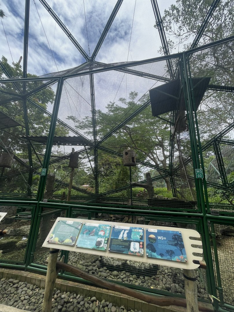 wallacea & sahul - aviary no. 3 - taman burung