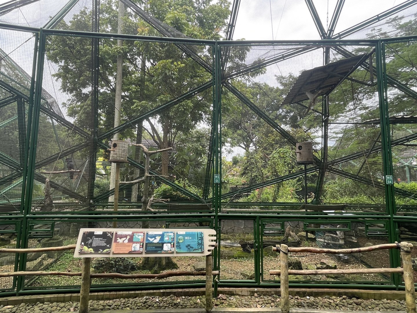 wallacea & sahul - aviary no. 5 - taman burung