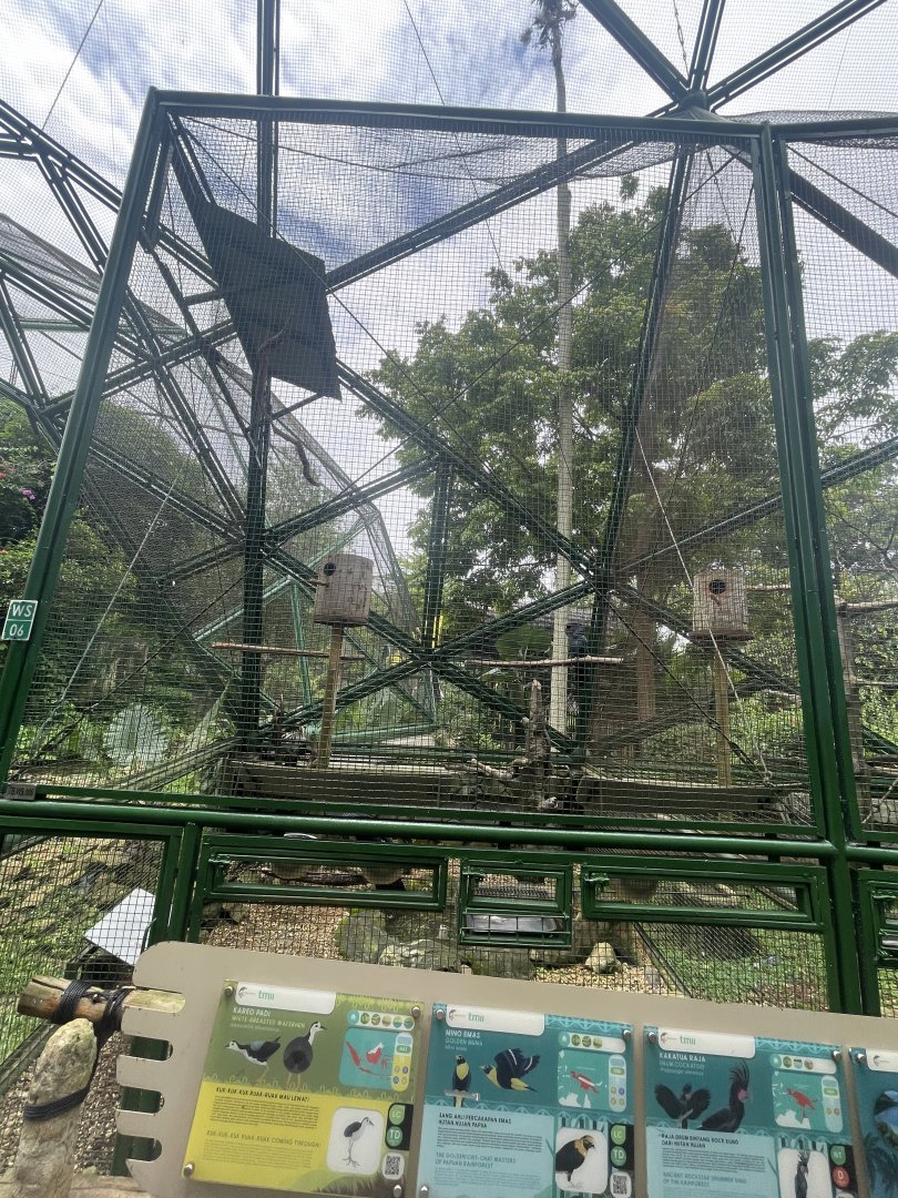 wallacea & sahul - aviary no. 6 - taman burung